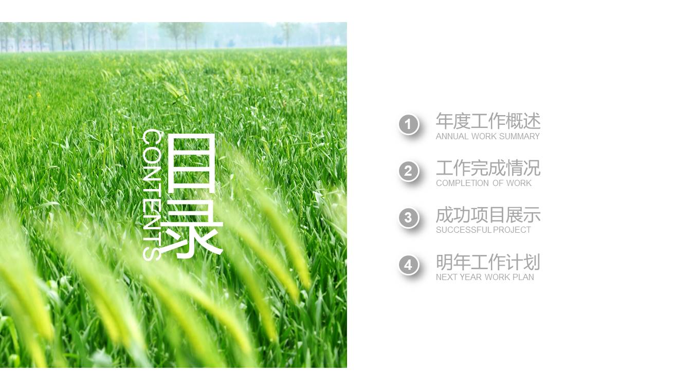 农业 (12).pptx